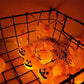 Halloween LED String Lights by Eliteezy