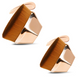 Perfect Makeup Brush - Buy 2 Save $10